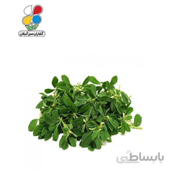 بذر شنبلیله بسته بندی کوچک مدل GPSV7S