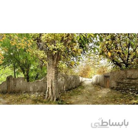 نخ و نقشه تابلو فرش طبیعت کد 39 طرح تک درخت در کوچه باغ