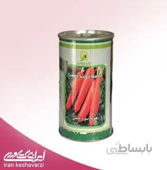 بذر هویج نانتس ویکیما دانمارک