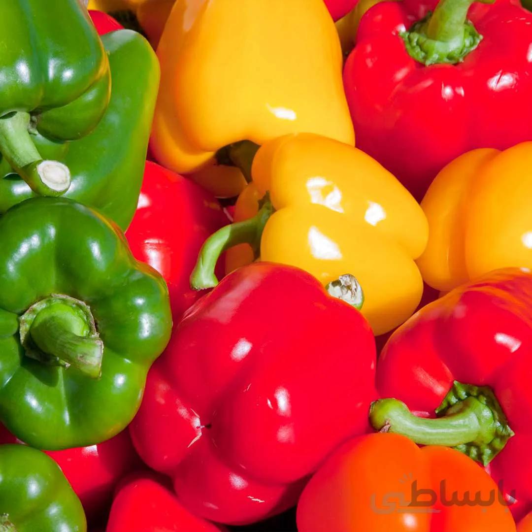 بذر فلفل دلمه ای معمولی