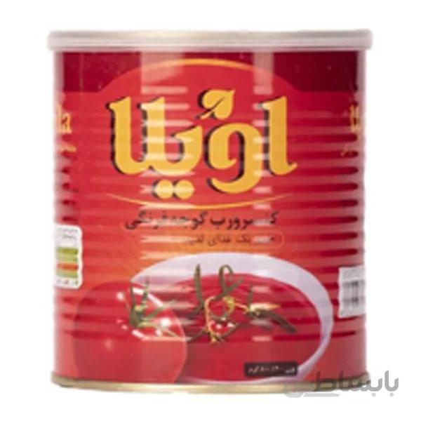 رب گوجه فرنگی 800 گرمی اویلا