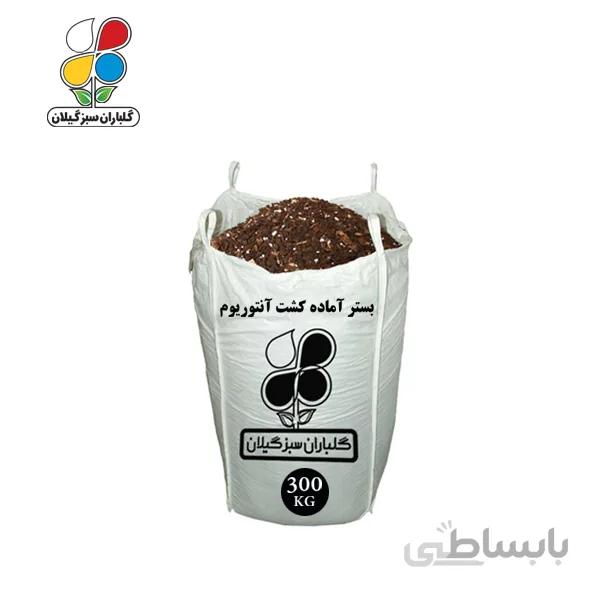 بستر آماده کشت آنتوریوم عمده 300 کیلویی