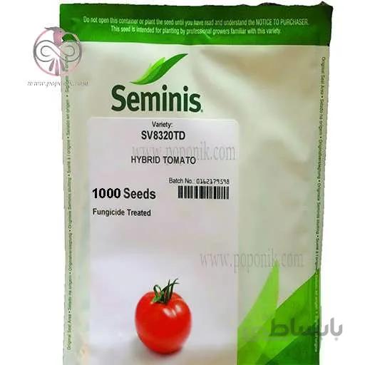 بذر گوجه فرنگی 8320