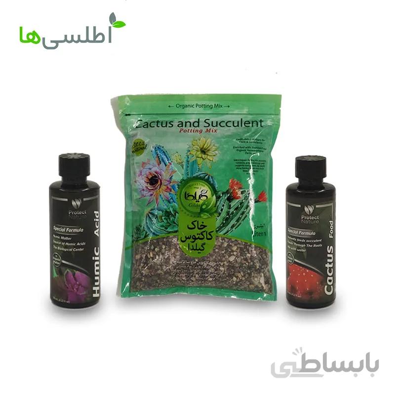 پکیج کاکتوس