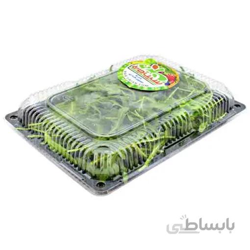 روکولا تازه درجه یک - 1 بسته