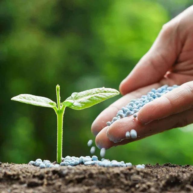 کتاب تغذیه درختان میوه (فایل پی دی اف)