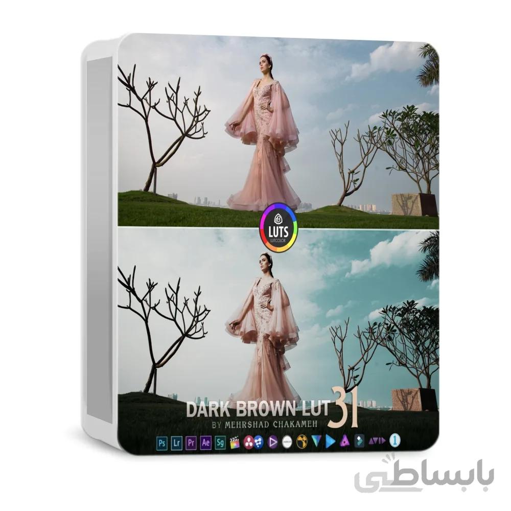 مجموعه رنگ DARK BROWN Lut 31