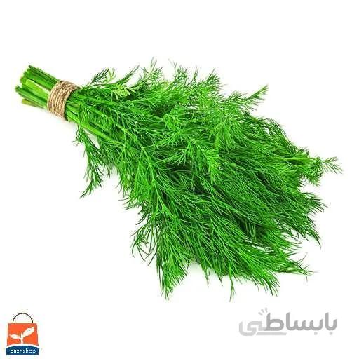 بذر شوید ایرانی