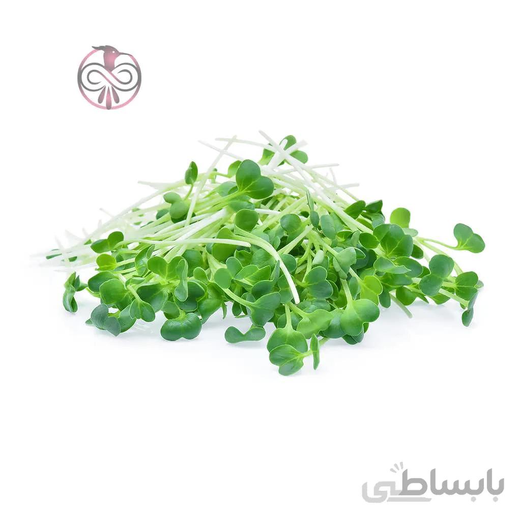 بذر یونجه بمی