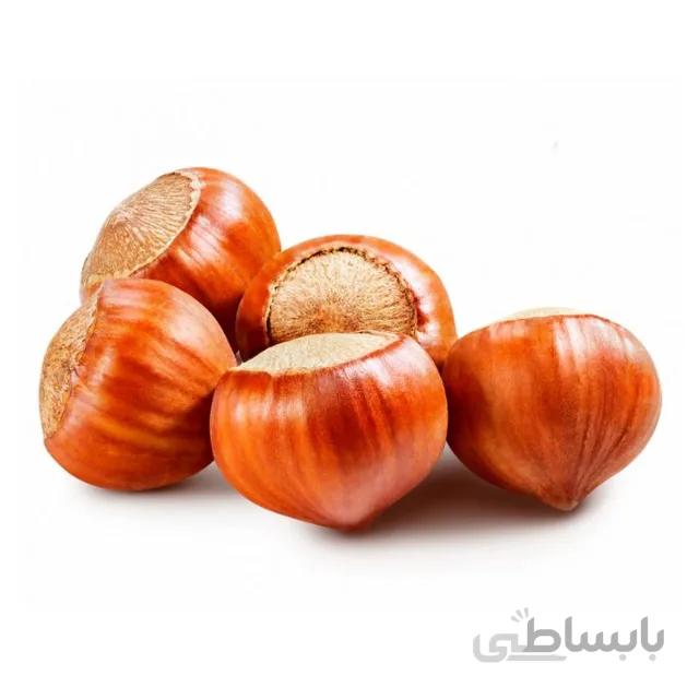 بذر فندق