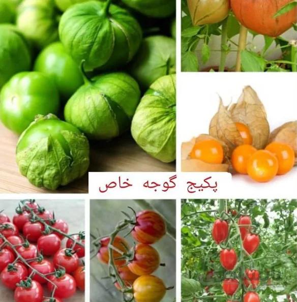 پکیج گوجه ( بذر گونه های خاص گوجه )