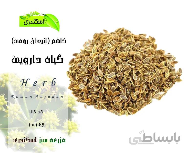 گیاه کاشم (انجدان رومی)