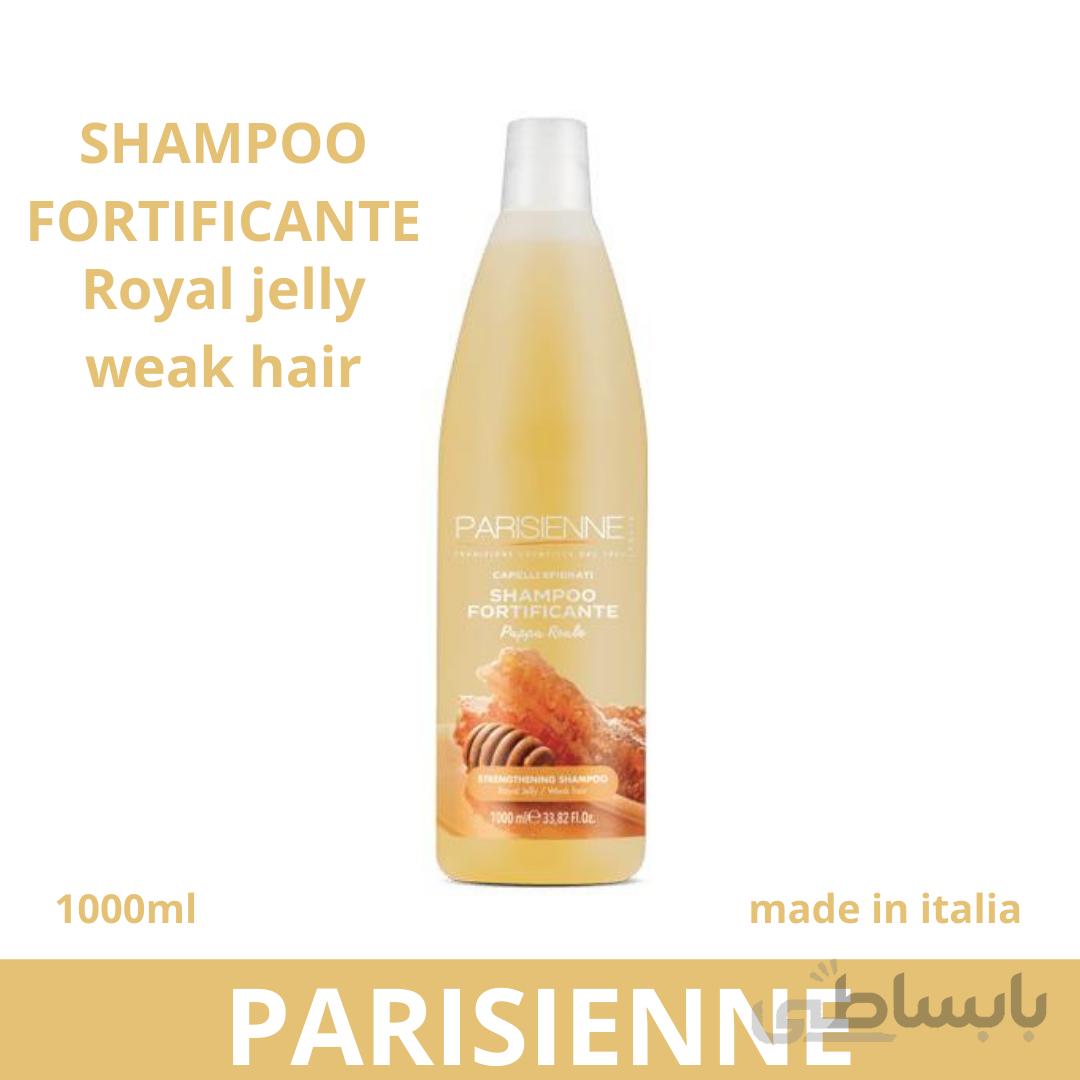 شامپو موی دمیج و آسیب دیده پاریزین ایتالیا