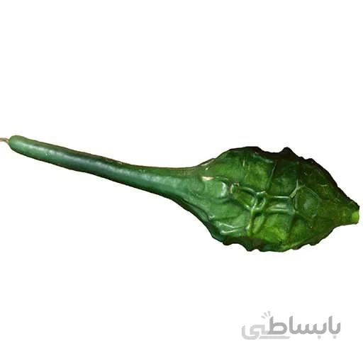 بذر کدو تنبل گرز