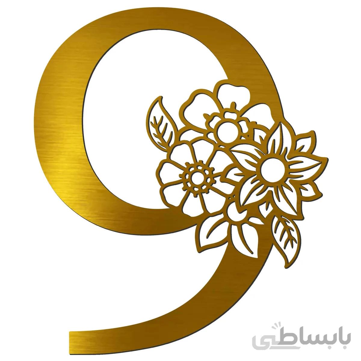 ایینه پلکسی گلس فروشگاه اژنگ مدل اعداد گل دار طرح عدد نه کد14633852