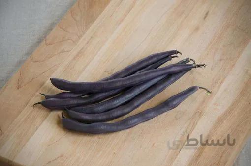 بذر لوبیا مشکی رویال بسته 10 عددی