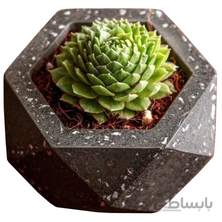 گلدان بتنی مینیمال زیکو zico company minimal concrete vase [www.ahwazonline.com] مدل 101 شناسه gw