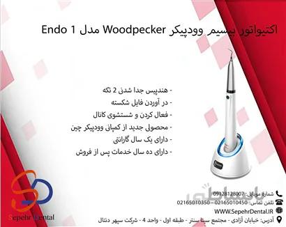 اکتیواتور بیسیم وودپیکر Woodpecker مدل Endo 1
