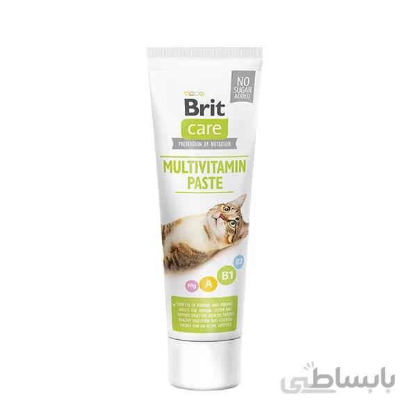 خمیر مولتی ویتامین گربه بریت – Brit Cat Multivitamin Paste