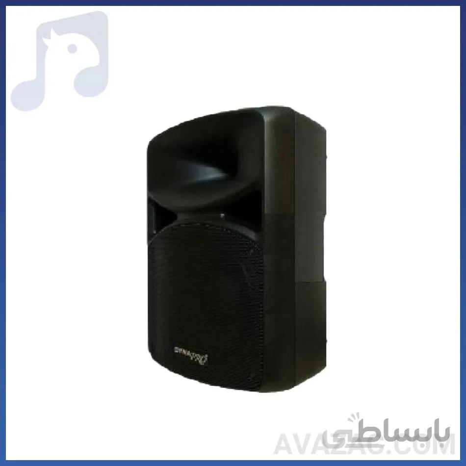 باند اکتیو ۱۰ اینچ DYNA PRO مدل S-1300