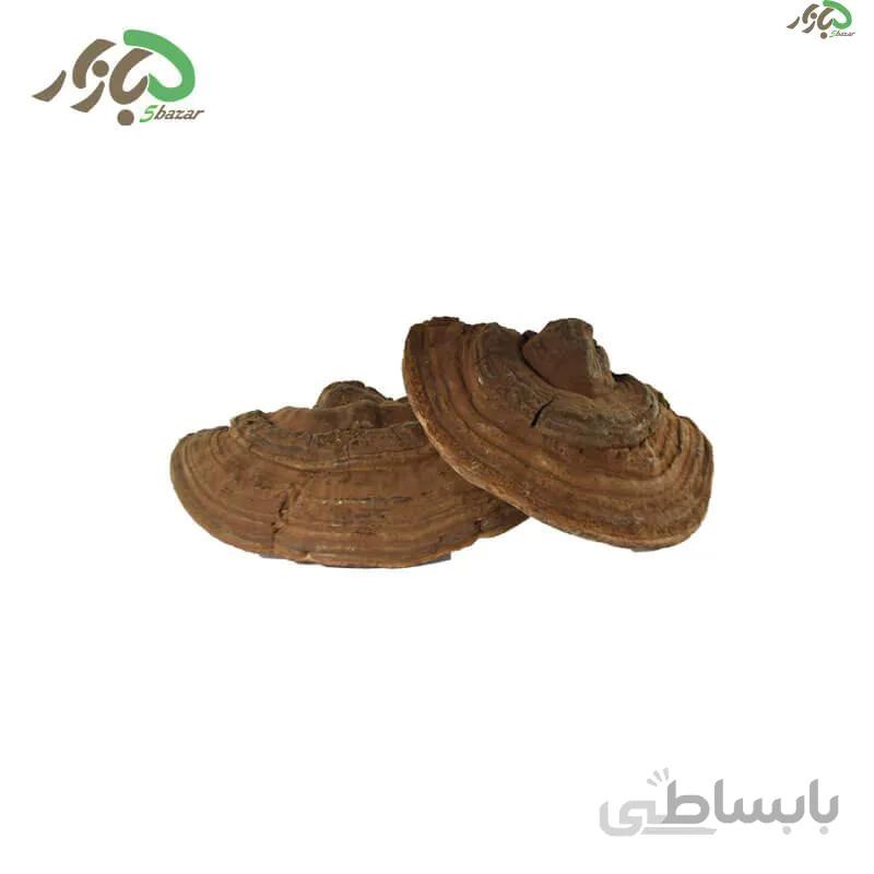 قارچ گانودرما آسیاب شده 30 گرم