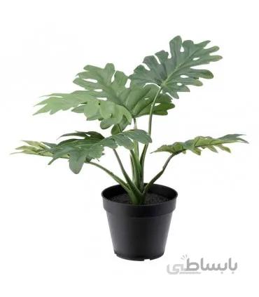 گیاه فیلودندرون ایکیا مدل FEJKA برگ انجیری