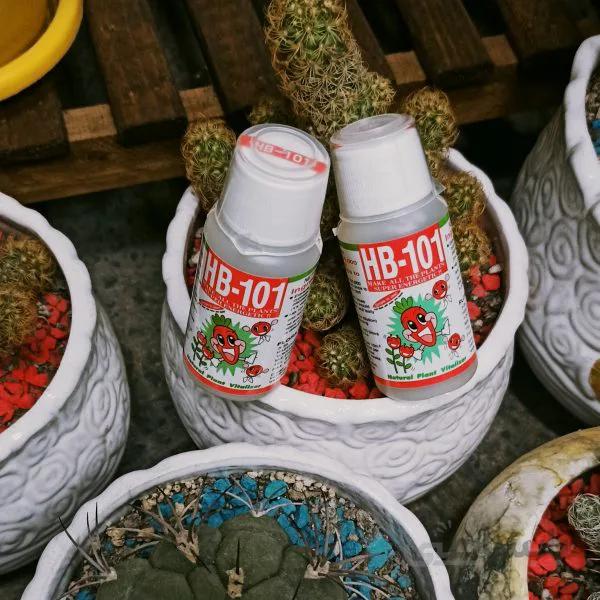 هورمون اچ بی 101اصل ژاپن 50سی سی