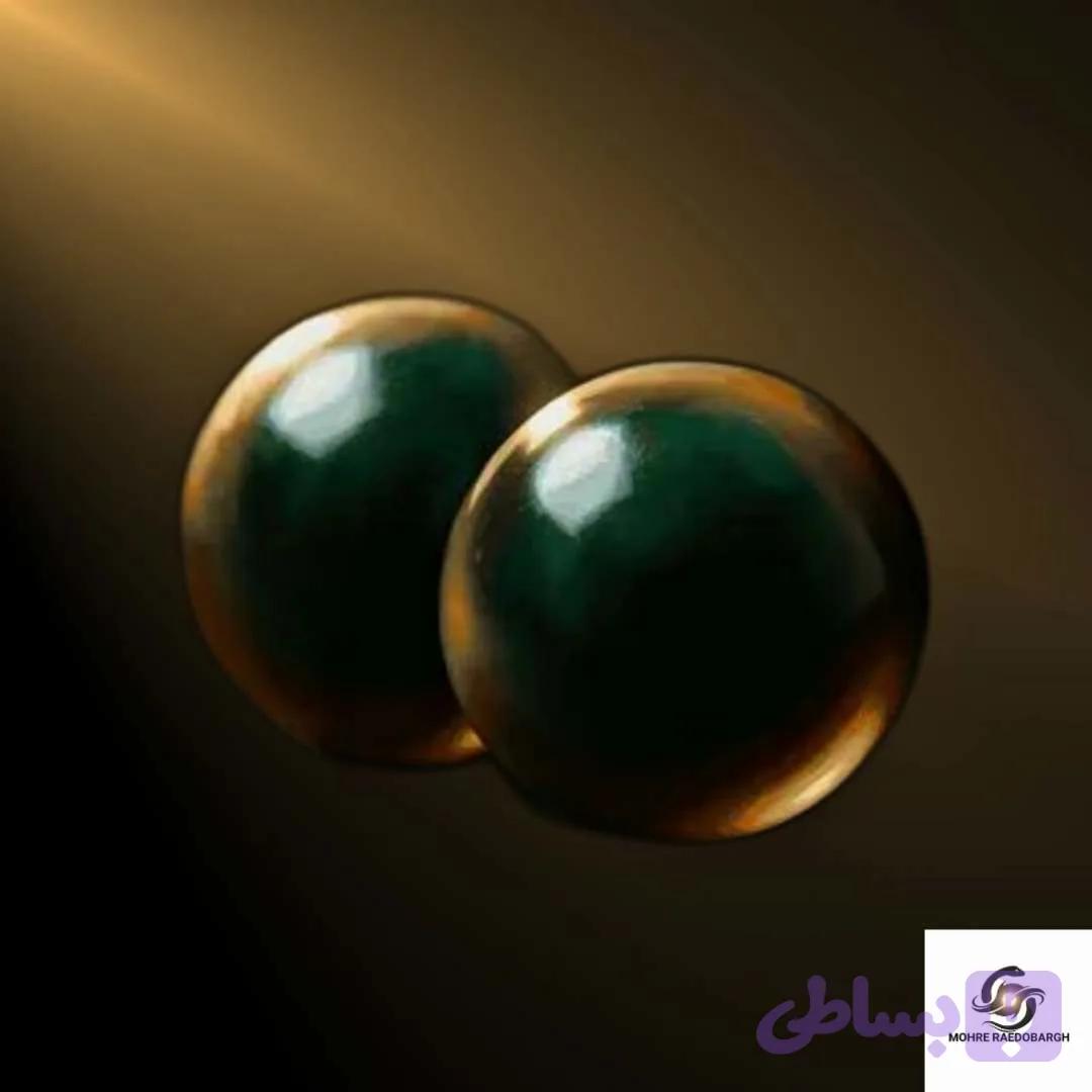 مهره مار آناکوندا اصلی دارای شناسنامه و ضمانت نامه کتبی معتبر — تصویر 1