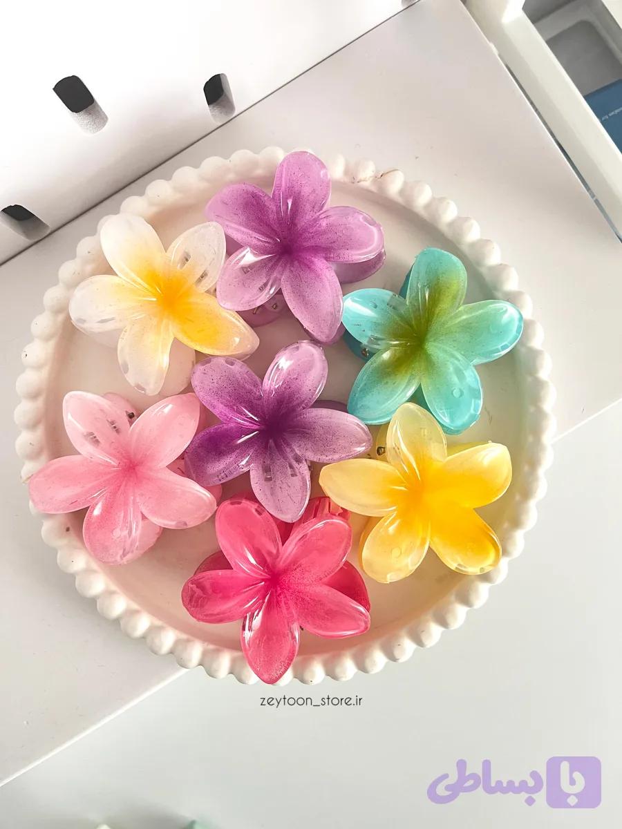 گیره مو پلومری