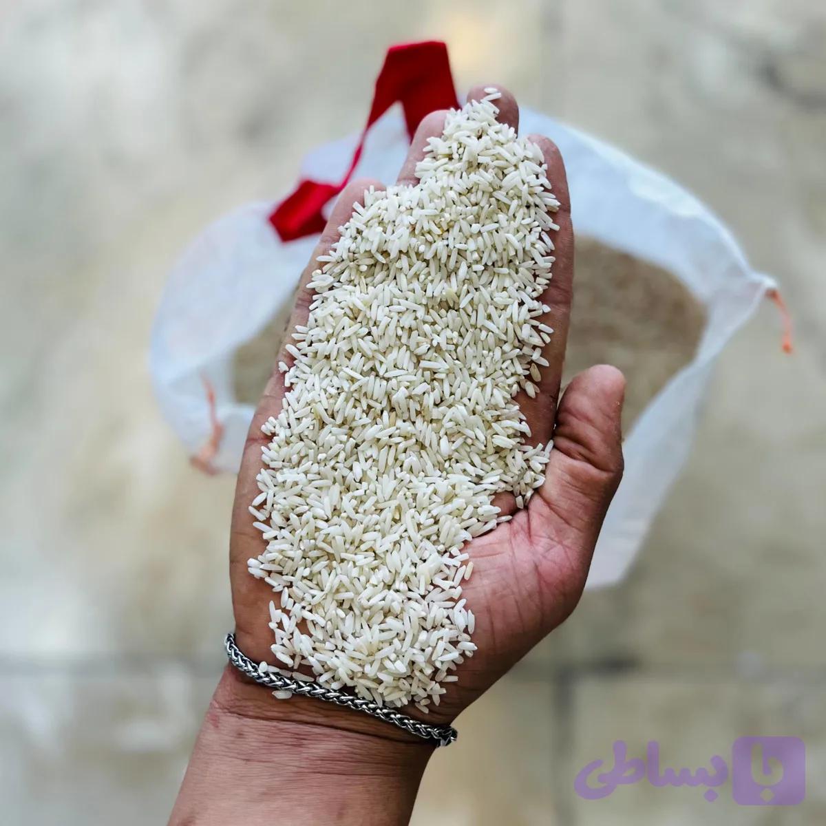 لاشه هاشمی دودی
