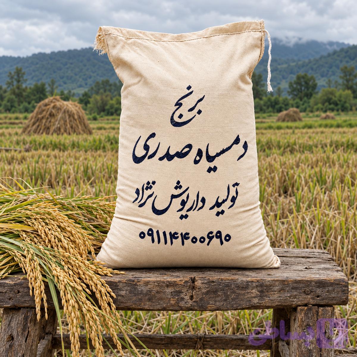 دمسیاه صدری ( کیسه روسی )