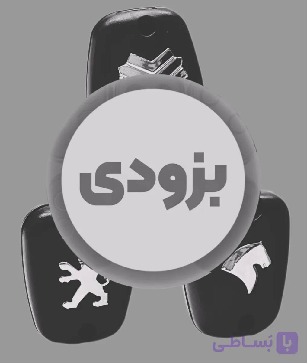 ریموت مولتی کد ( تولید انحصاری)