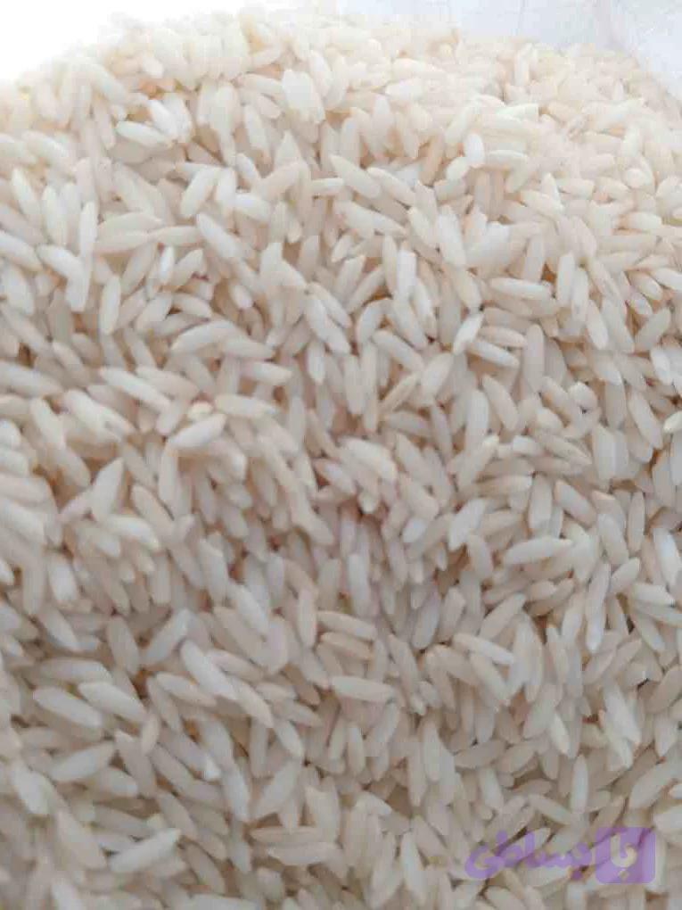 برنج علی کاظمی اعلا گیلشا ۱۴۰۴ — تصویر 1