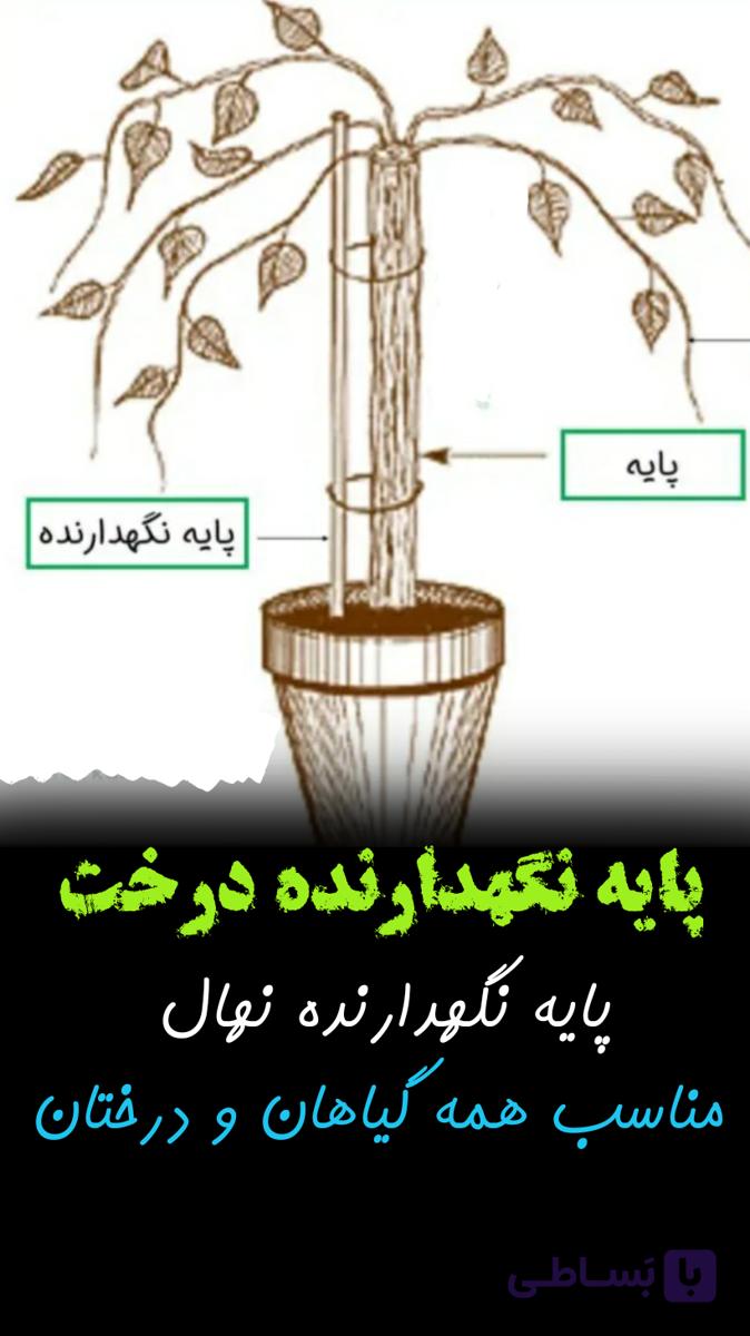 پایه نگاهدارنده نهال درخت گل