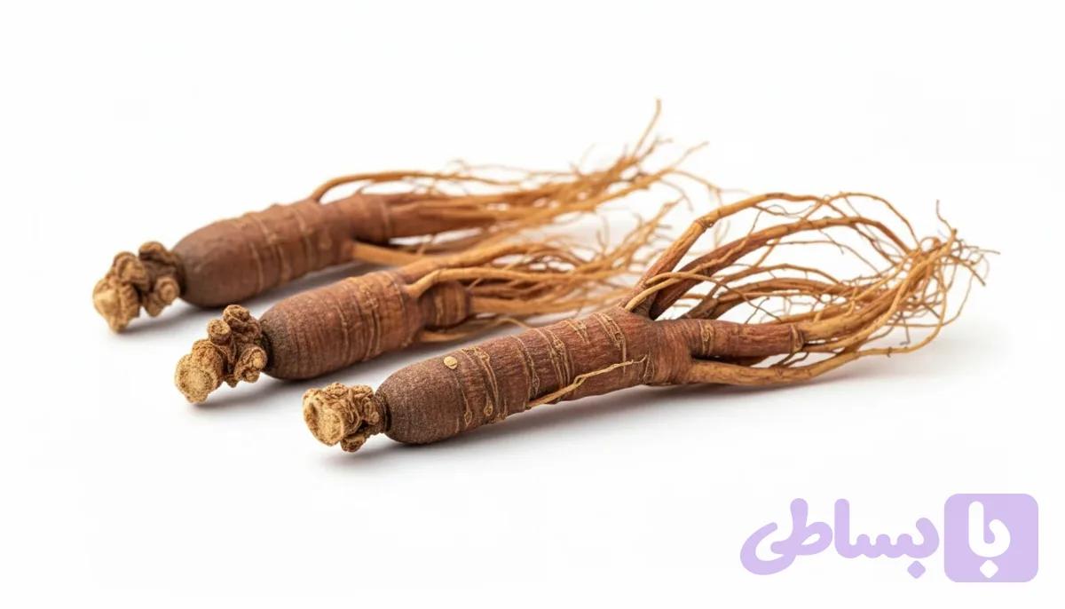 ریشه جینسینگ قرمز — تصویر 1