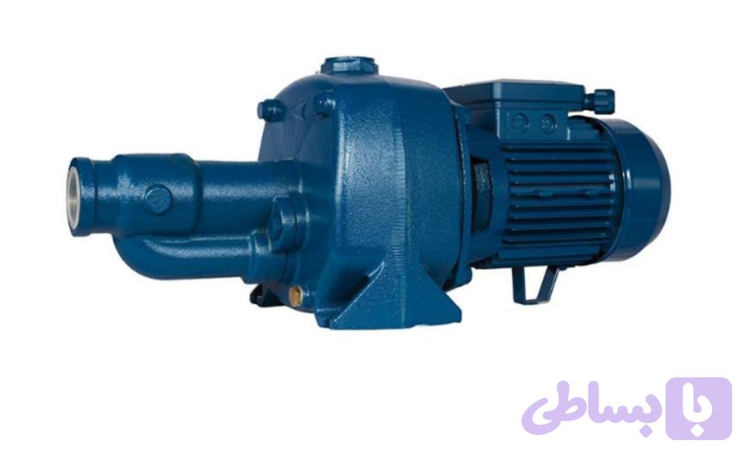 پمپ لول بلند ۳ اسب ۲ پروانه تک فاز پنتاکس ایتالیا اصلی CAB300/01 | جتی دو پروانه گلابی