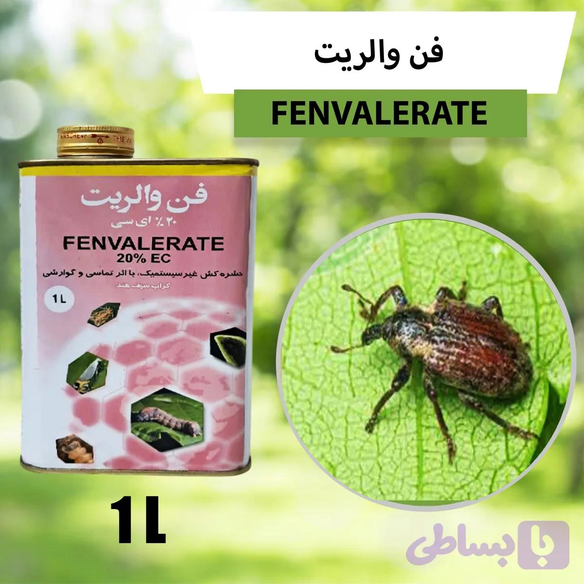 فن والریت