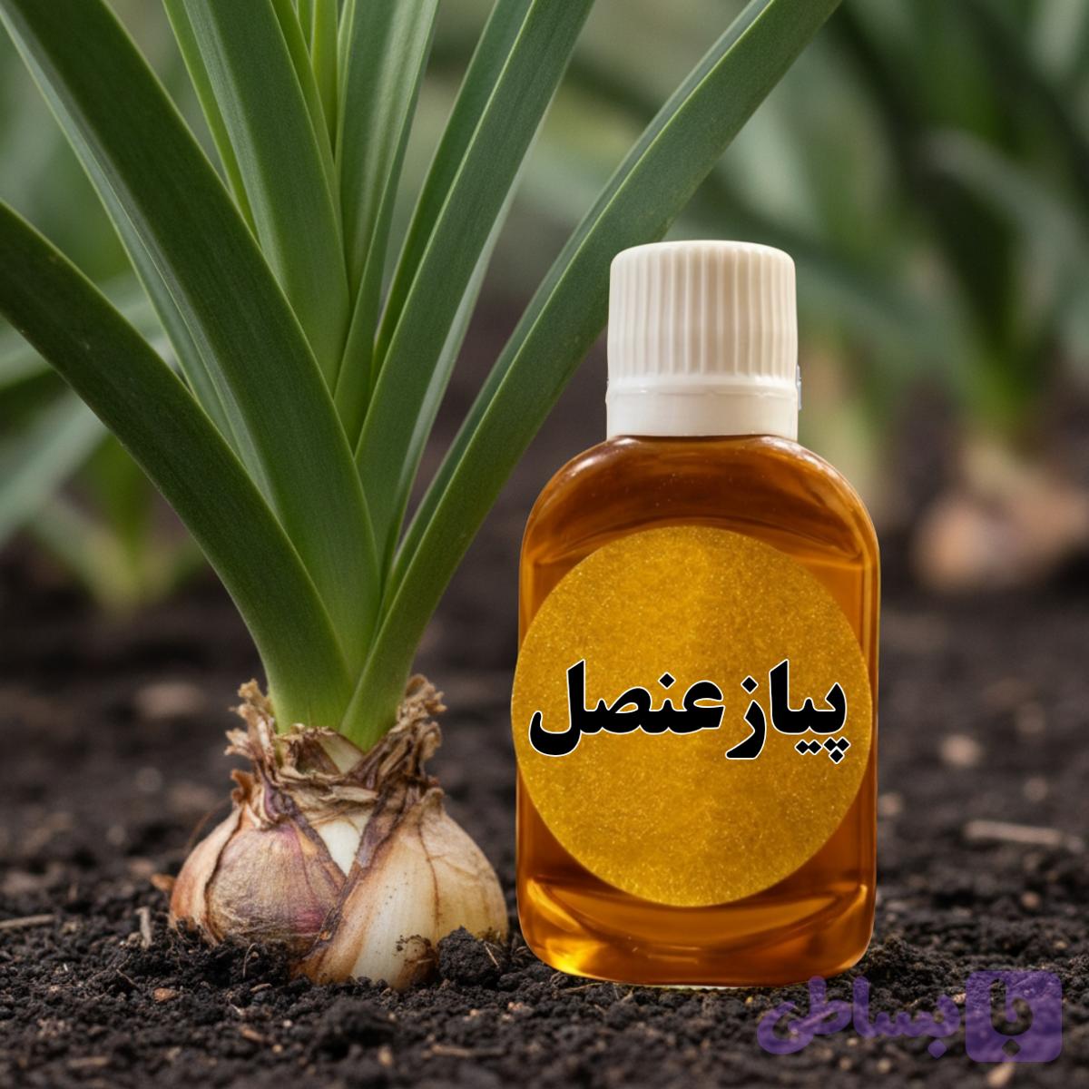 روغن پیاز عنصل پایه کنجد