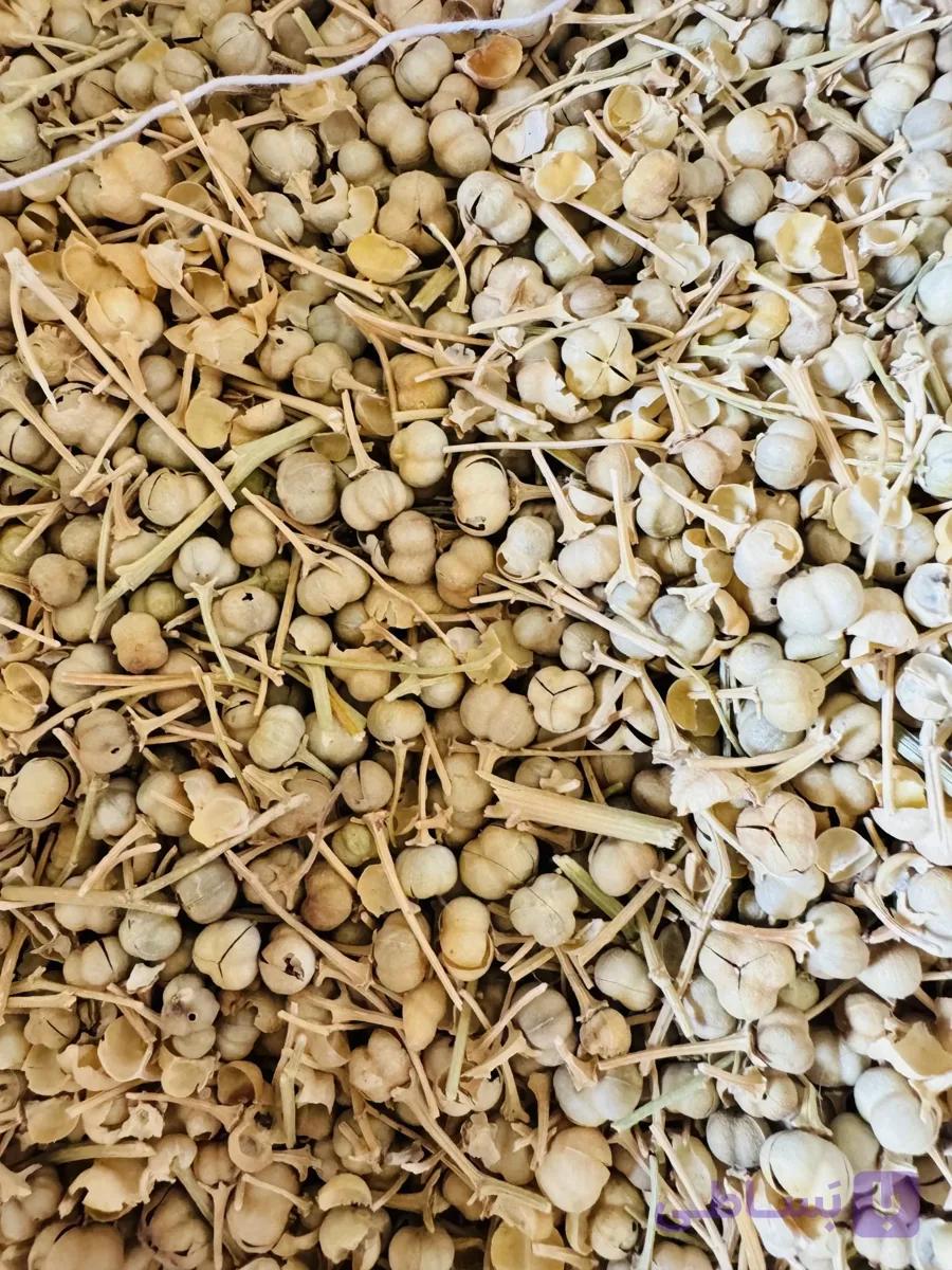 اسپند (یک کیلویی)