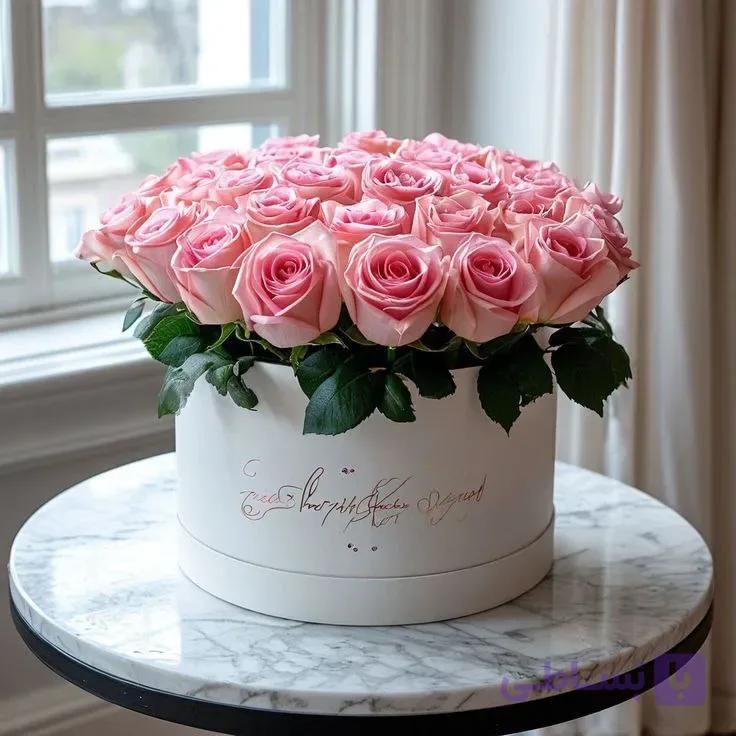 باکس گل رز هلندی ۴۰ شاخه