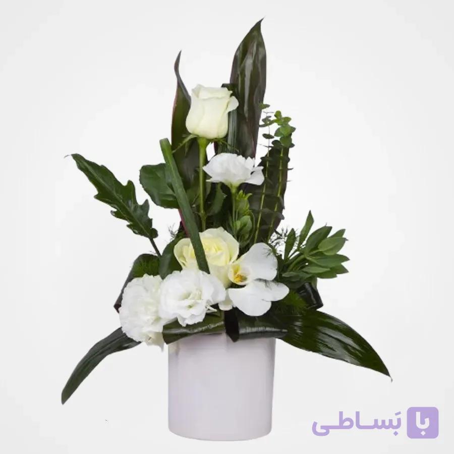 باکس گل ارکیده لیسی انتوس همراه کروتون