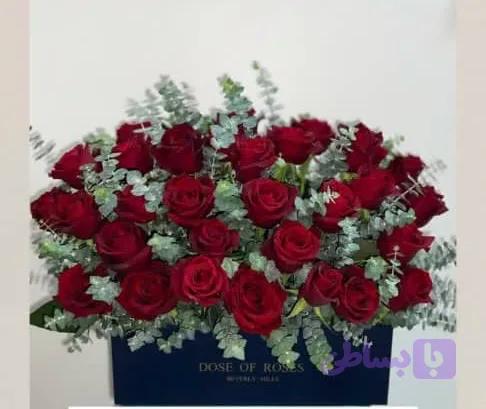 باکس رز هلندی قرمز