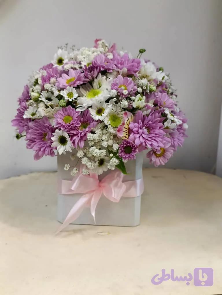 مینی باکس داوودی