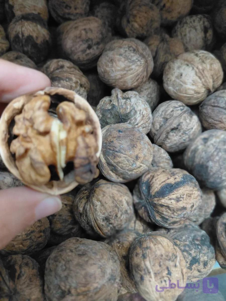 گردو سنگی