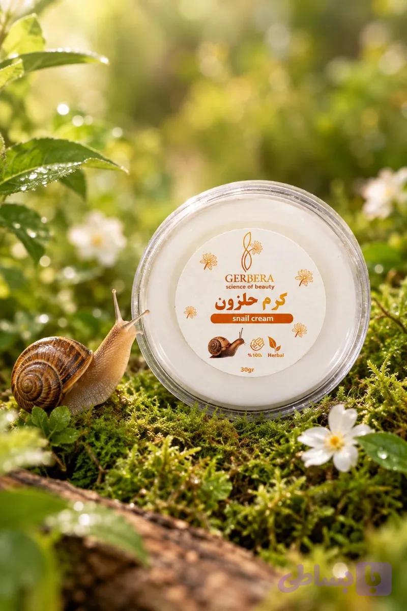 کرم حلزون ژربرا — تصویر 1