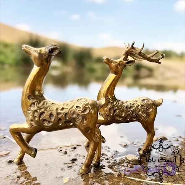 جفت آهو برنجی سنگین – بالای ۳ کیلوگرم