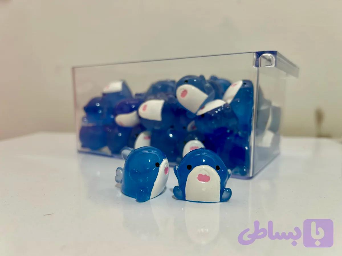 شبتاب کوسه