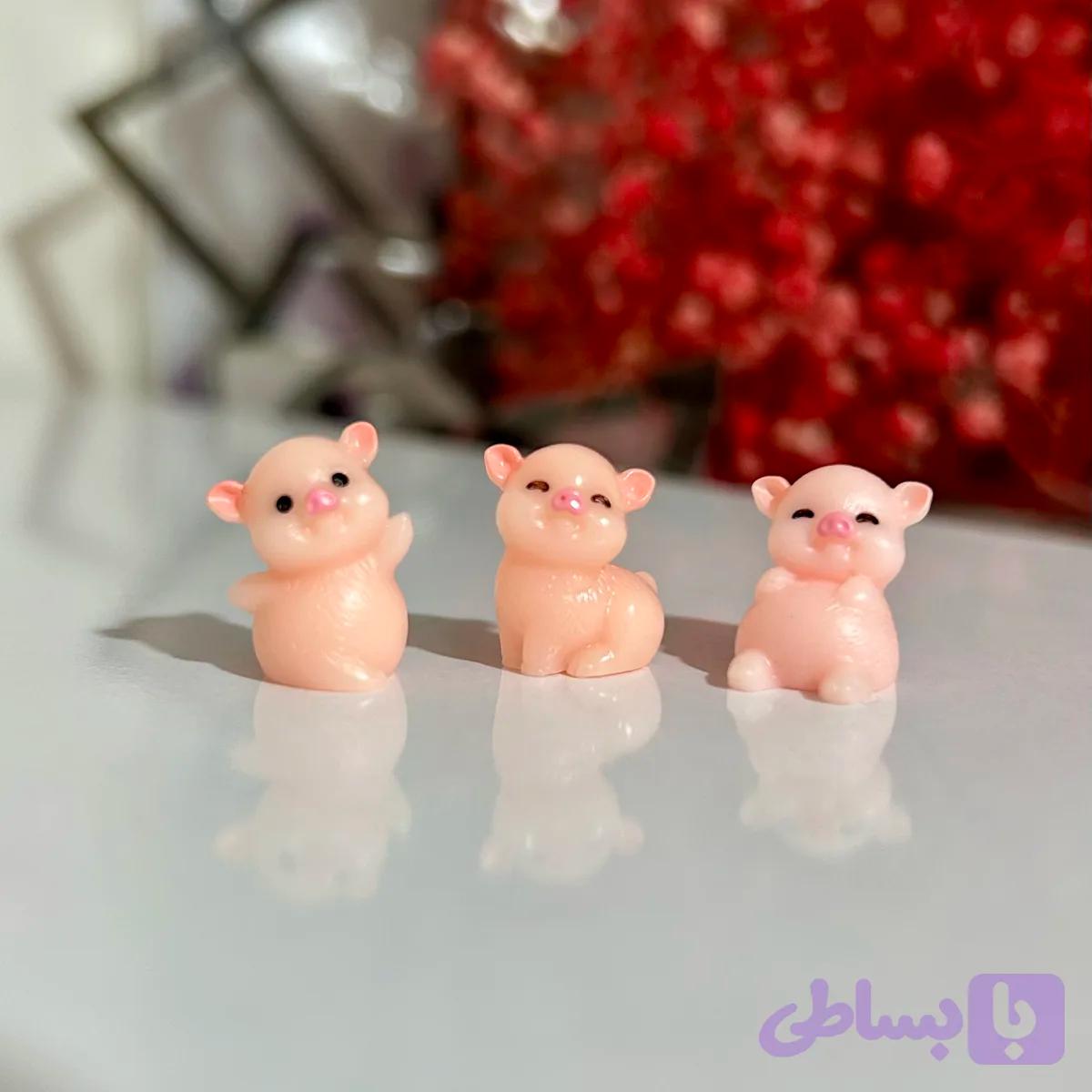 فیگور خوک کوشولو (کد NSPAZ)