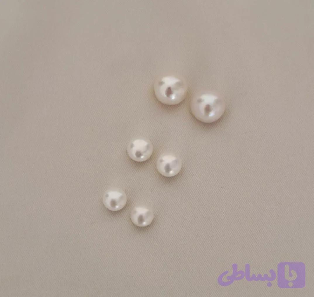 گل گوش های رنگی — تصویر 1