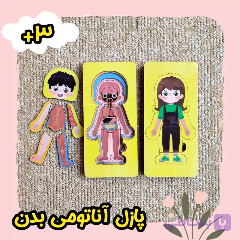 پازل آناتومی بدن انسان چوبی الگودار